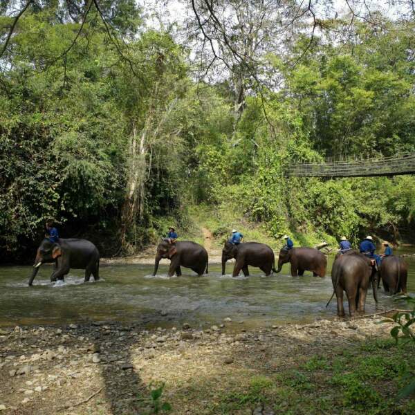 Erlebnis-Reisen Asien Roluos-Gruppe Tempel Sandstein